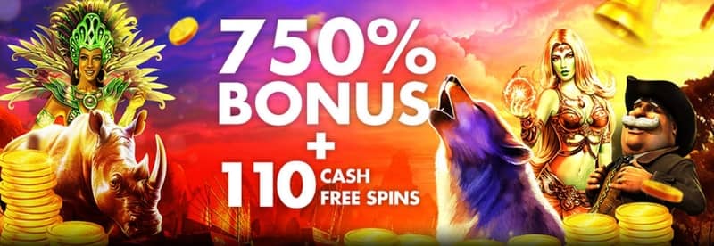 Bruce Bet-App-Download in Schweiz