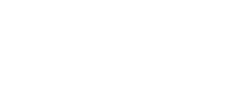 Punt  Casino Logo